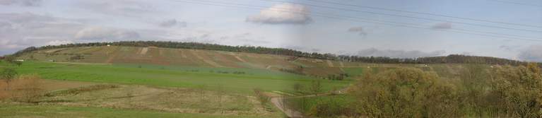 Weinlage "K&uuml;lsheimer Hoher Herrgott"