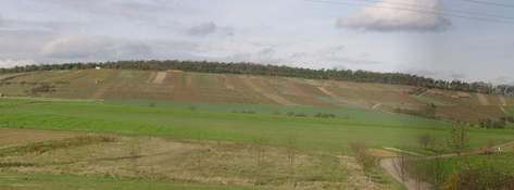 Weinlage "K&uuml;lsheimer Hoher Herrgott"