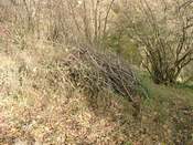 Station: Reisighaufen