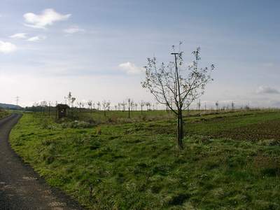 hier entsteht eine Streuobstwiese