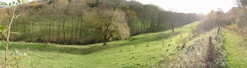 &Uuml;berblick &uuml;ber die Viehweide